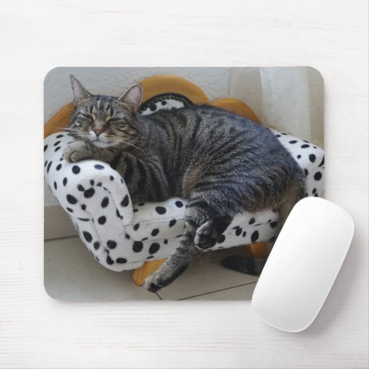 Tapis De Souris Kitty fatigué (Avec souris)