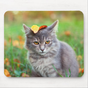 Tapis De Souris Kitty gris mignon avec feuille sur la tête