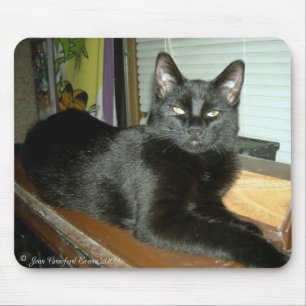 Tapis De Souris Kitty impérial