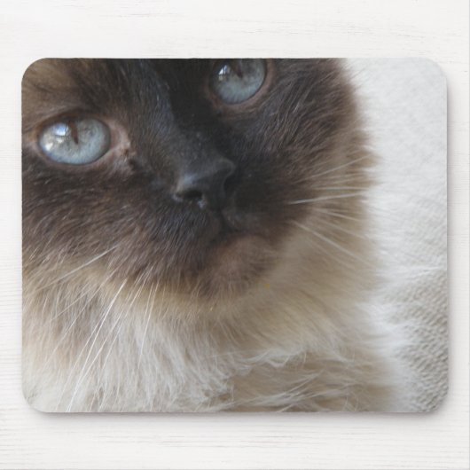Tapis De Souris Kitty Mousepad de l'oeil bleu (Devant)