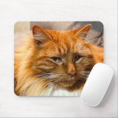 Tapis De Souris Kitty Nemo Mousepad (Avec souris)