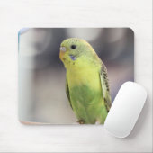Tapis De Souris Kiwi Burbell (Avec souris)