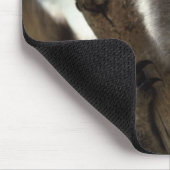Tapis De Souris koala (Coin)