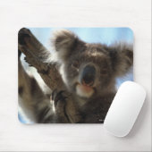 Tapis De Souris koala (Avec souris)