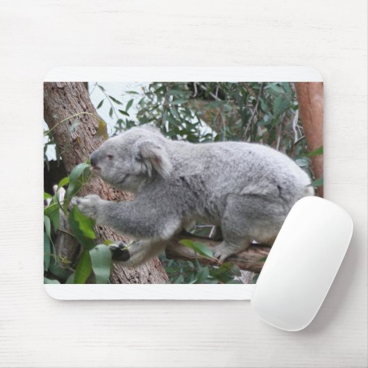 TAPIS DE SOURIS KOALA (Avec souris)