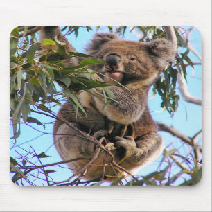 Tapis De Souris Koala Australie Mousepad