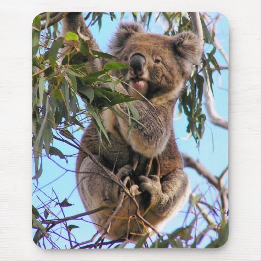 Tapis De Souris Koala Australie Mousepad (Devant)