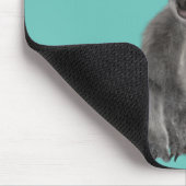 Tapis De Souris Koala Bear (Coin)