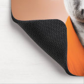 Tapis De Souris Koala bouddhiste (Coin)