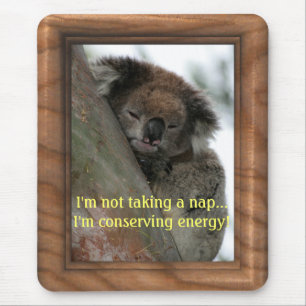 Tapis De Souris Koala - Energy Conservationist Extraordinaire !