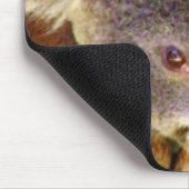 Tapis De Souris Koala Love_ (Coin)