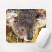 Tapis De Souris Koala Love_ (Avec souris)