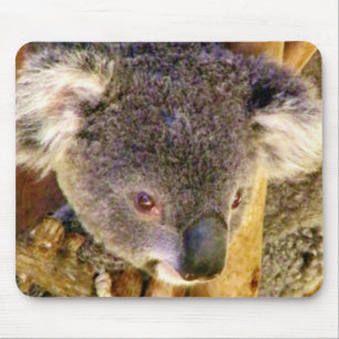 Tapis De Souris Koala Love_