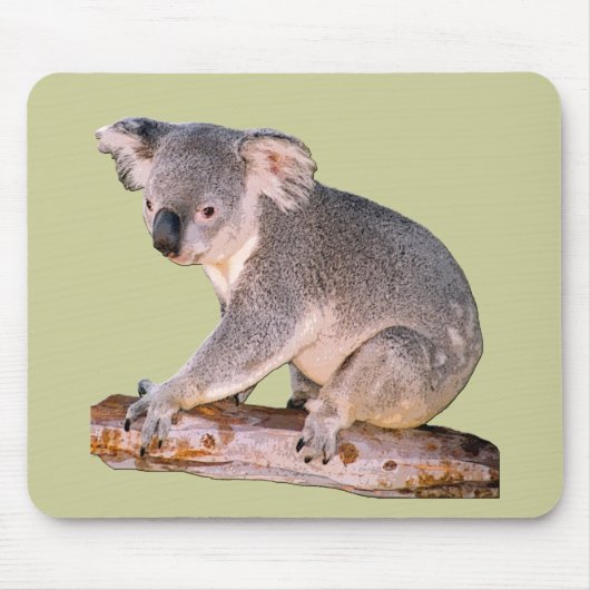 Tapis De Souris Koala Mousepadd (Devant)