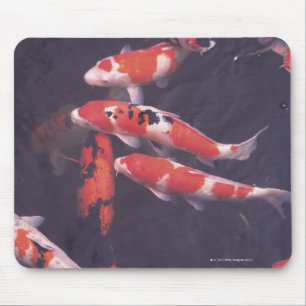 Tapis De Souris Koi piscine
