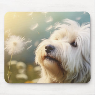 Tapis De Souris Komondor Chien animal animal animal animal paix