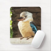Tapis De Souris Kookaburra (Avec souris)