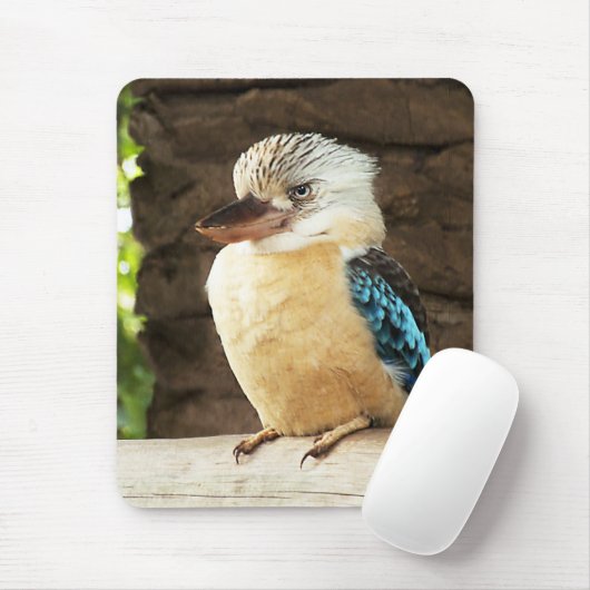 Tapis De Souris Kookaburra (Avec souris)