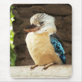 Tapis De Souris Kookaburra (Devant)