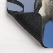 Tapis De Souris Kookaburra (Coin)