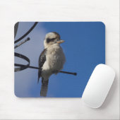 Tapis De Souris Kookaburra (Avec souris)