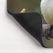 Tapis De Souris Kookaburra (Coin)