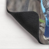 Tapis De Souris Kookaburra Bird (Coin)