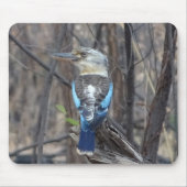 Tapis De Souris Kookaburra Bird (Devant)