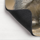 Tapis de souris Kute Kat (Coin)