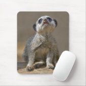 Tapis de souris Kute Kat (Avec souris)