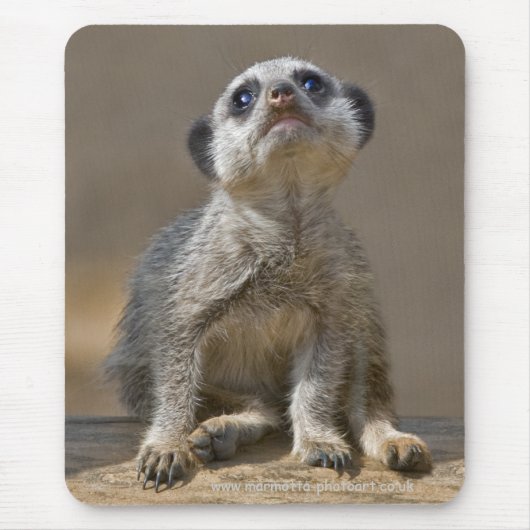 Tapis de souris Kute Kat (Devant)