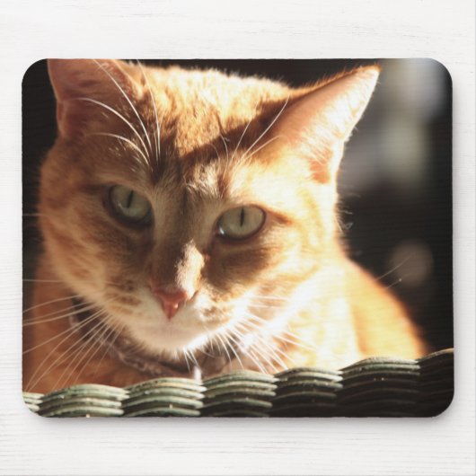 Tapis De Souris Kute Kitty ! (Devant)