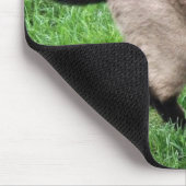 TAPIS DE SOURIS LA BEAUTÉ DE SIAMESE (Coin)