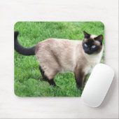 TAPIS DE SOURIS LA BEAUTÉ DE SIAMESE (Avec souris)