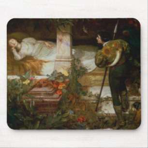 Tapis De Souris La Belle au Bois Dormant (le prince charmant et sa