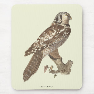 Tapis De Souris La Chouette du Nord (Surnia ulula) Image d'oiseau