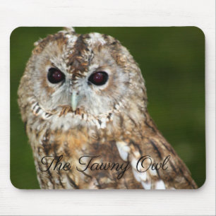 Tapis De Souris La Chouette Tawny