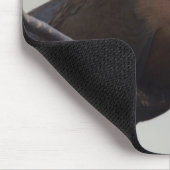 Tapis De Souris La colombe de Grayson (Coin)