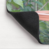 Tapis De Souris La colombe en deuil à Birdbath (Coin)