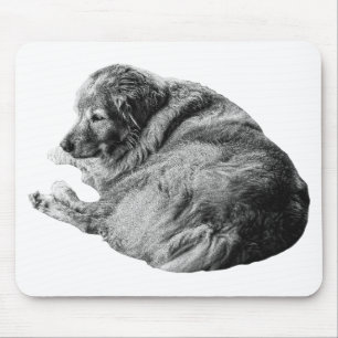 Tapis De Souris La douce fourrure de chien élève l'énergie calme d