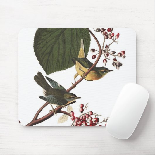 Tapis De Souris La fauvette supplémentaire d'Audubon (Avec souris)