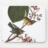 Tapis De Souris La fauvette supplémentaire d'Audubon (Devant)