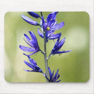 Tapis De Souris La fleur d'un lys camas dans le comté de Valley,