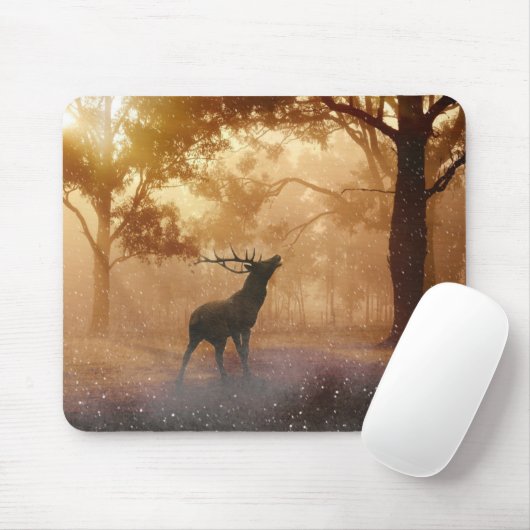 Tapis De Souris La Forêt (Avec souris)