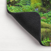 Tapis De Souris La forêt tropicale automautomne | Parc national ol (Coin)