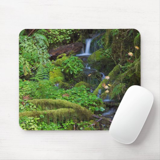 Tapis De Souris La forêt tropicale automautomne | Parc national ol (Avec souris)