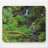 Tapis De Souris La forêt tropicale automautomne | Parc national ol (Devant)