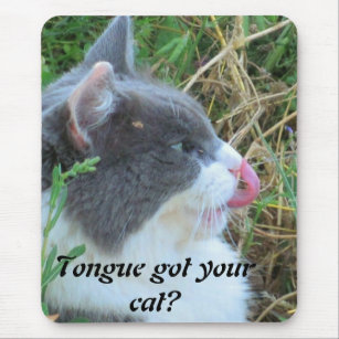 Tapis De Souris La langue a obtenu votre chat ? Meme