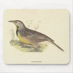 Tapis De Souris La larve de l'Est (Stourne ella magna) NY Birds