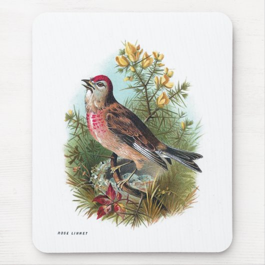 Tapis De Souris La linotte de rose (Devant)
